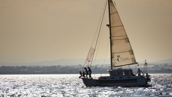 Sailing Charter