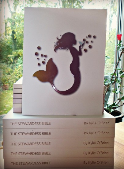 The Stewardess Bible Print Edition