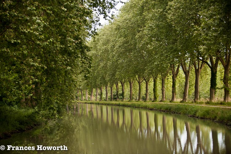 Classical tree arrangement along the Canal de Garonne between Lock 31 and 32