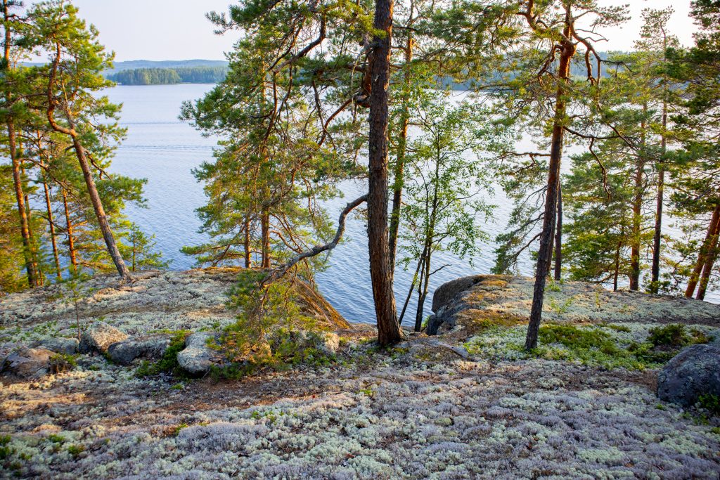 Finnish Luxury is at one with nature